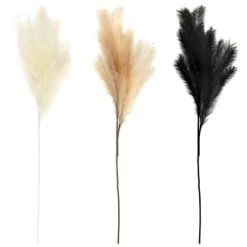 B&M Pampas Stem - Cream 7 B&M Pampas Stem - Cream -B&M 372800 395541 394382 pamas stem group