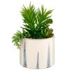 B&M Succulent In Blue Drip Pot -B&M 380106 succulent in blue drip pot