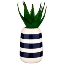 B&M Small Succulent -B&M 380107 small succulent 3