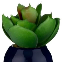 B&M Small Succulent -B&M 380107 small succulent 6