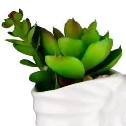 B&M Scandi Shore Small Shell Succulent -B&M 380110 small shell succulent 2