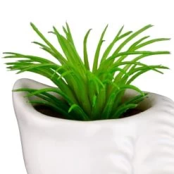 B&M Scandi Shore Small Shell Succulent -B&M 380110 small shell succulent 5