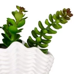 B&M Scandi Shore Small Shell Succulent -B&M 380110 small shell succulent 8