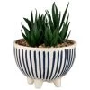 B&M Scandi Shore Stripe Succulent -B&M 380604 scandi shore stripe succulent 3