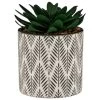 B&M Succulent In Botanist Print Pot - Green -B&M 380608 patterened pot with succulent