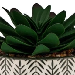 B&M Succulent In Botanist Print Pot - Green -B&M 380608 patterened pot with succulent 2