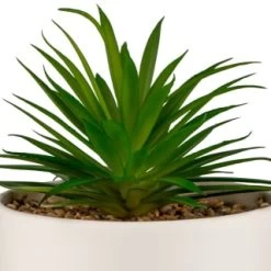 B&M Scandi Shore Succulent In White Pot -B&M 380696 succulent in white pot 2