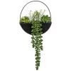 B&M Eden Life Round Trailing Plant -B&M 380727 black hanging trailing plant