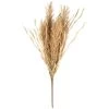 B&M Dried Grass Bunch -B&M 387541 dried grass bunch