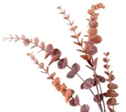 B&M Eucalyptus In Vase -B&M 387563 eucalyptus in vase 2