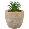 B&M Small Succulent Pot - Stone -B&M 394663 small succulent stone