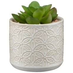 B&M Assorted Embossed Pots -B&M 394664 embossed pot 5