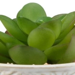 B&M Assorted Embossed Pots -B&M 394664 embossed pot 6